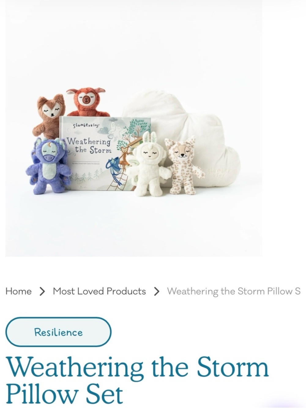 Weathering the Storm Pillow Set -  Plush Friends (book not included)